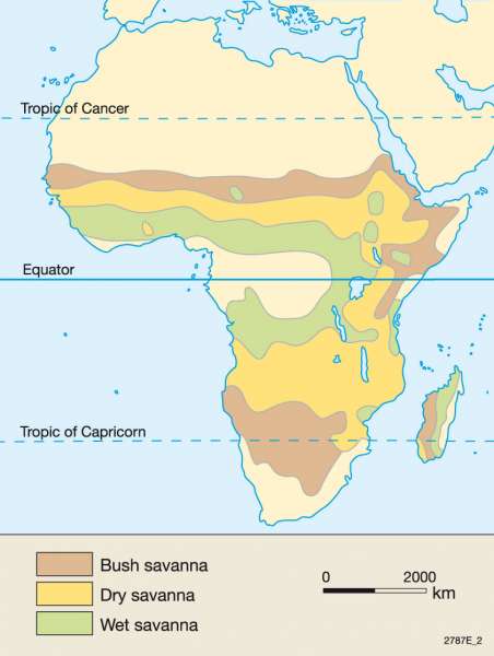 Savanne Afrika Karte | goudenelftal