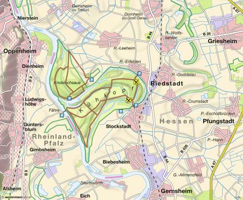 Diercke Karte Naturschutzgebiet Kühkopf-Knoblauchsaue heute