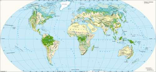 Diercke Karte Ökozonen / Vegetation