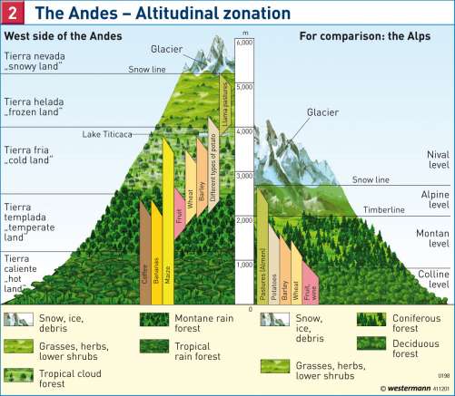 Maps - The Andes – Altitudinal zonation - Diercke International Atlas