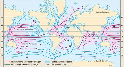 Diercke Weltatlas - Kartenansicht - Weltmeere - Wasserzirkulation - 978