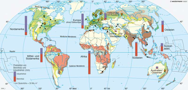Erde | Waldnutzungs- und Forstwirtschaftsformen | Erde - Reale Vegetation und Landnutzung | Karte 260/2