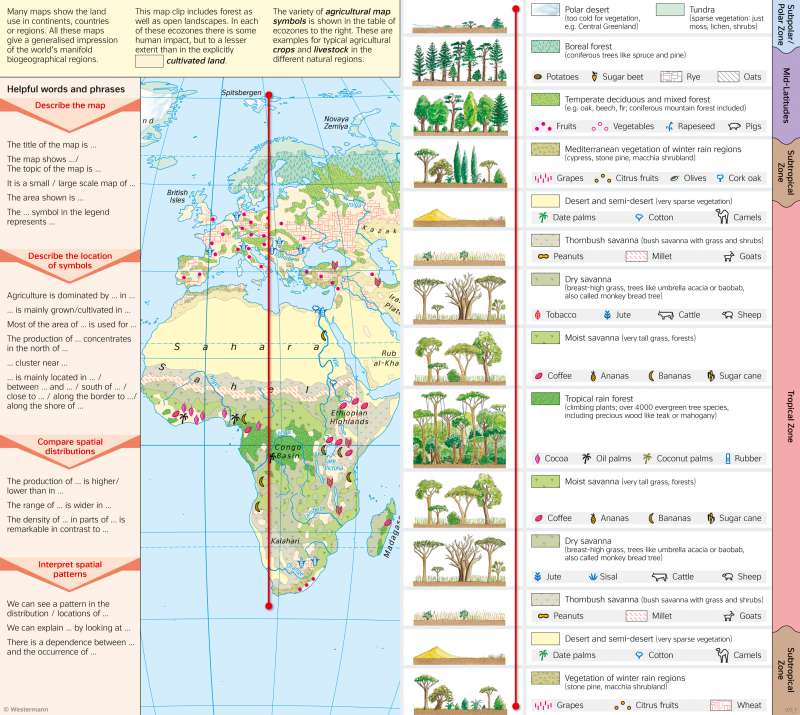  | Land cover and land use (map extract of the global map) | Land cover and economic maps | Karte 8/1
