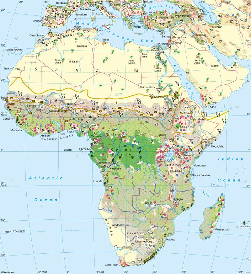 Africa | Land cover and agriculture | Vegetation and agriculture | Karte 148/1