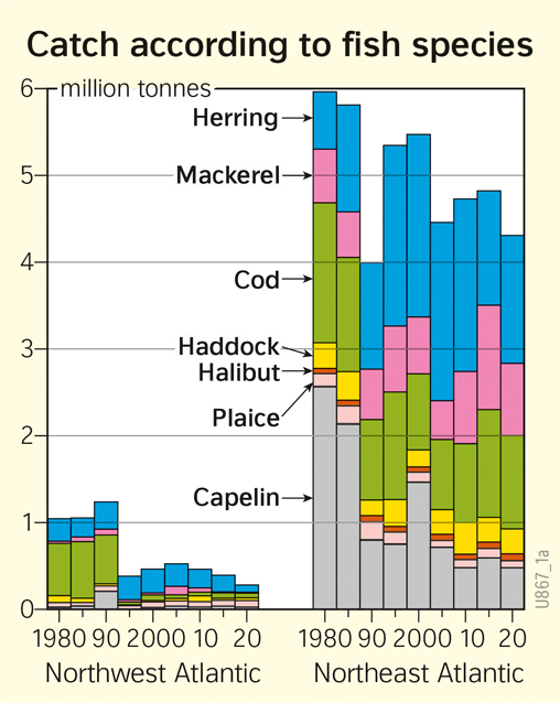  | Catch according to fish species | Resources | Karte 78/2