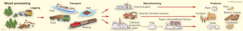  | Wood processing | Resources | Karte 79/3
