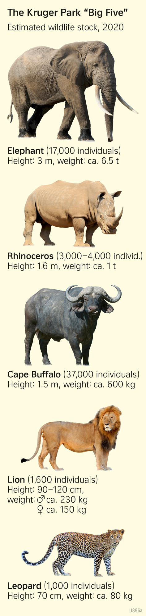  | The Kruger Park “Big Five” | World heritage and topographic orientation | Karte 142/2