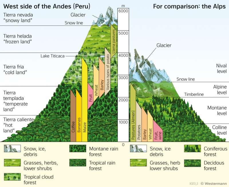 The Andes | Altitudinal zonation | Economy and land use | Karte 195/2