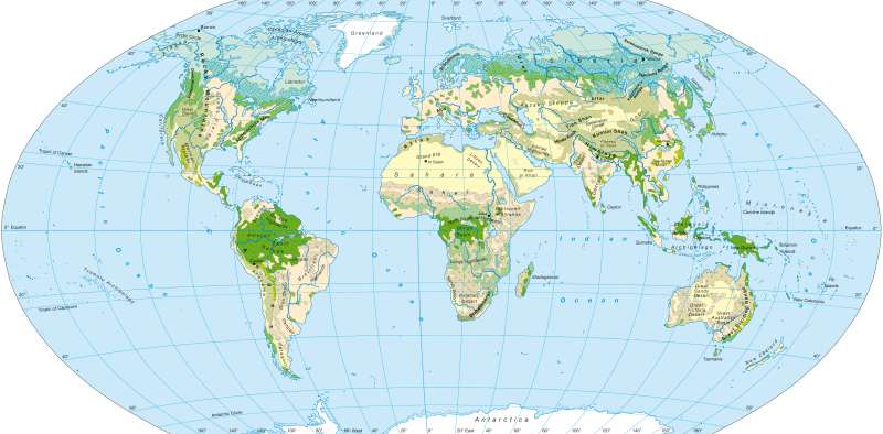 The world — Ecozones/vegetation |  | The world - Ecozones/vegetation | Karte 178/1