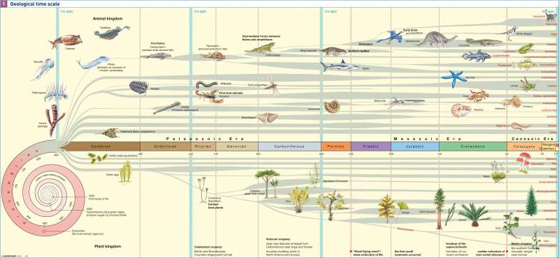Geological time scale |  | The geological history of Earth | Karte 200/1
