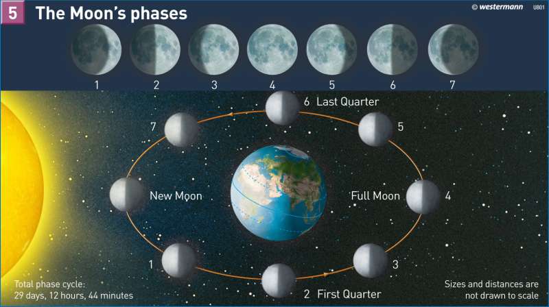 The Moon's phases |  | The Earth in the Universe | Karte 202/5