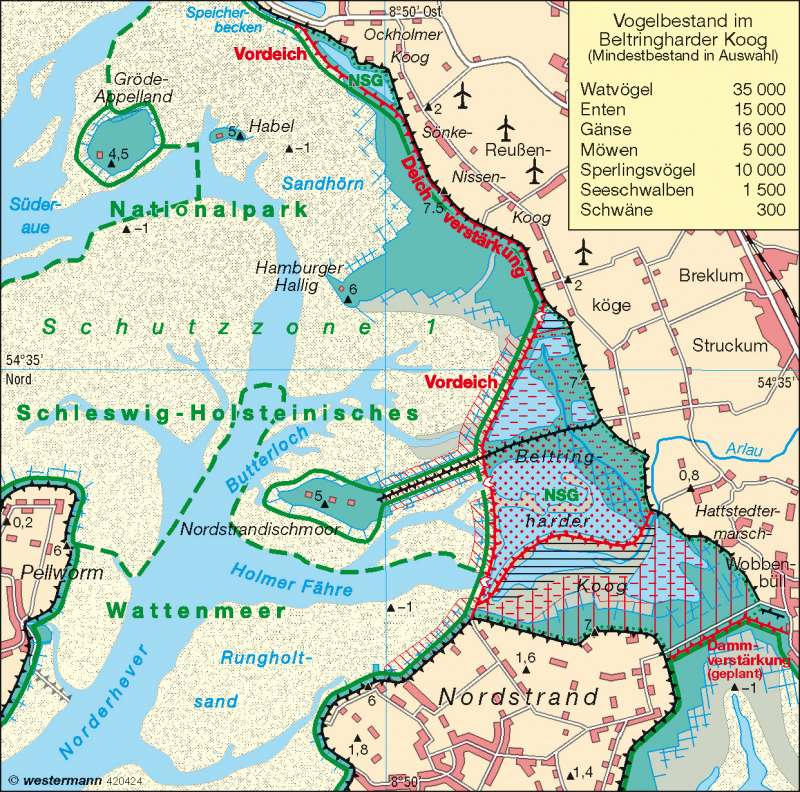 Nordstrander Bucht | Küstenschutz und ökologische Folgen | Küstenlandschaften/Küstenformen | Karte 28/2