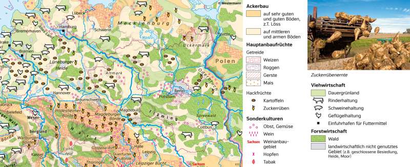 Diercke Weltatlas - Kartenansicht - - Thematische Karte - 978-3-14
