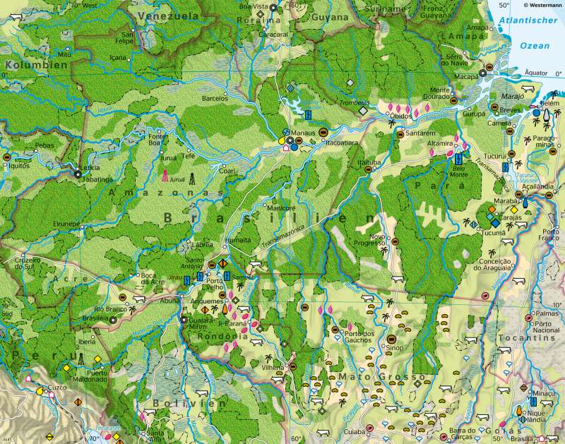 Amazonien | Eingriffe in den tropischen Regenwald | Südamerika - Wirtschaft und Umwelt | Karte 163/2