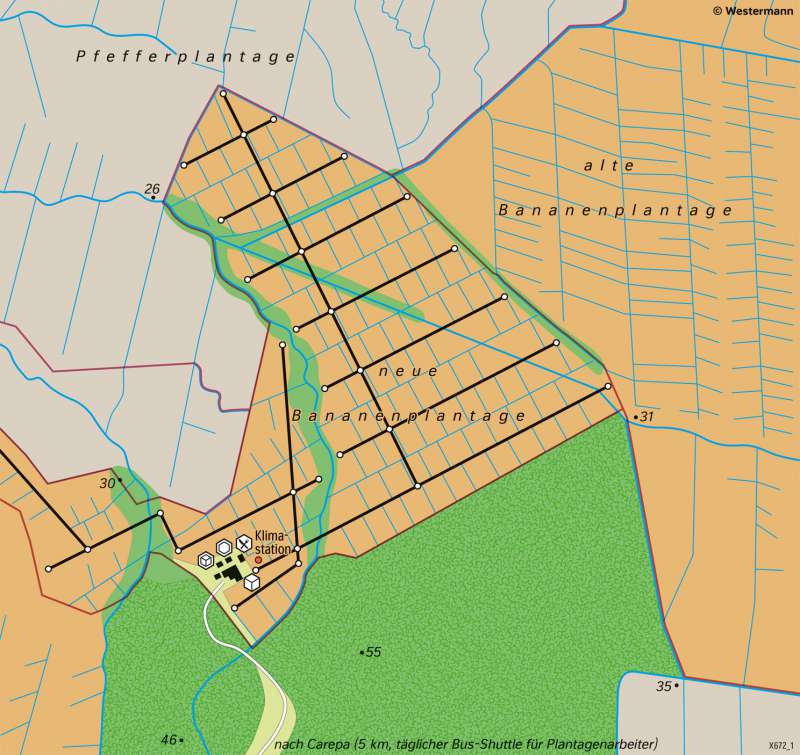 Carepa (Golf von Darien/Kolumbien) | Bananenanbau | Südamerika - Landwirtschaft | Karte 161/4